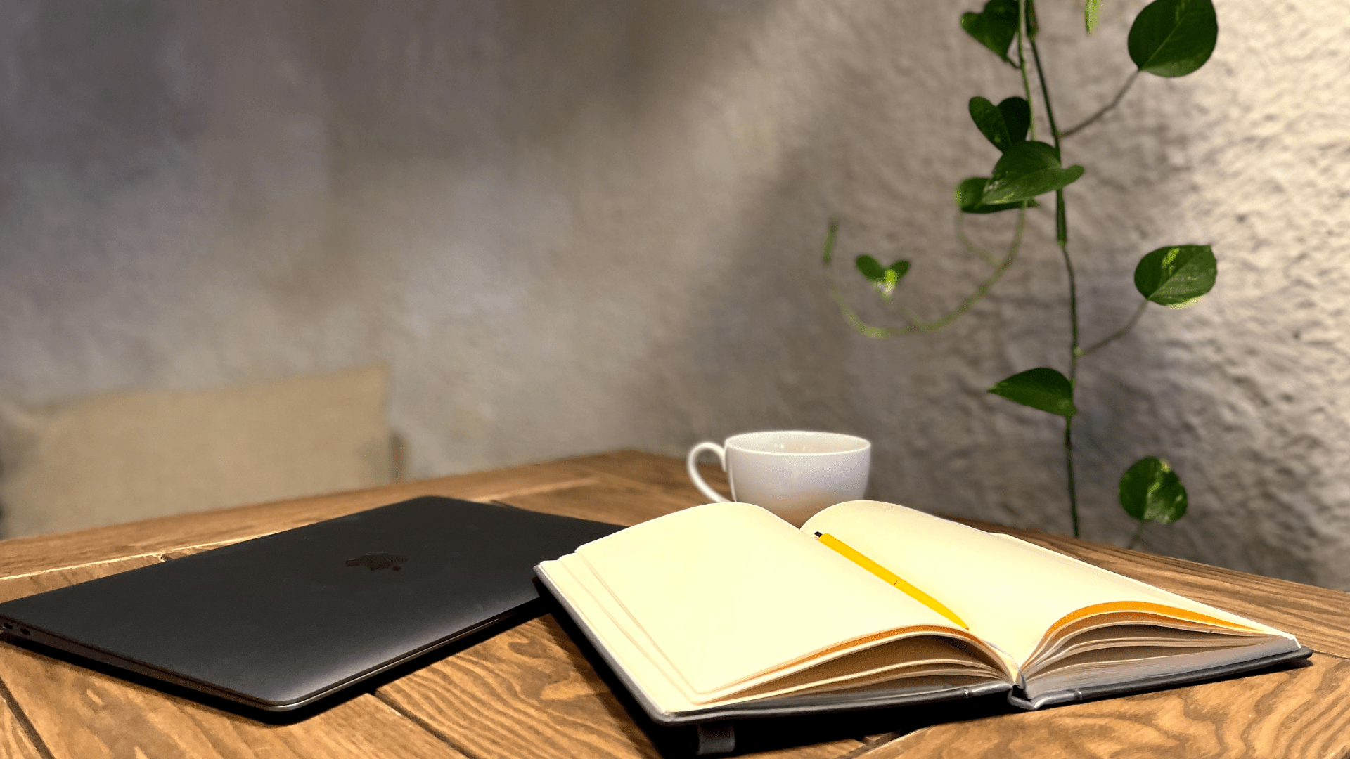 10 Most FAQs on Blogging with Full Answers